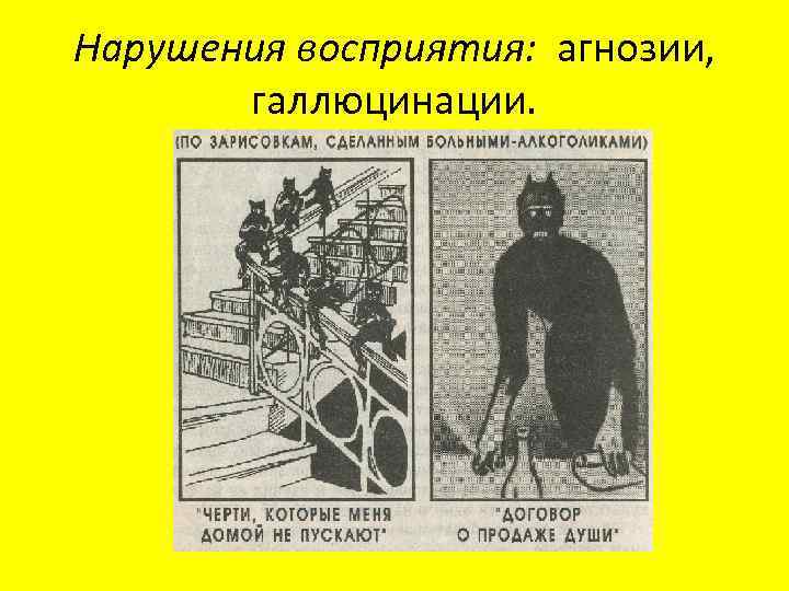 Нарушения восприятия: агнозии, галлюцинации. 