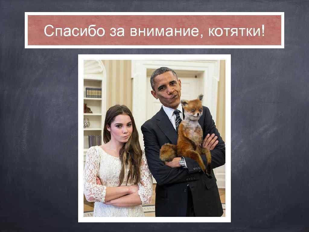 Спасибо за внимание, котятки! 