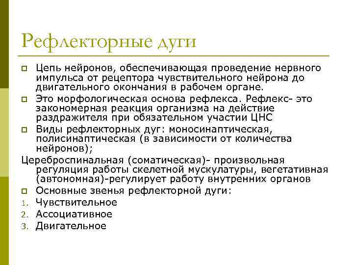 Рефлекторные дуги Цепь нейронов, обеспечивающая проведение нервного импульса от рецептора чувствительного нейрона до двигательного