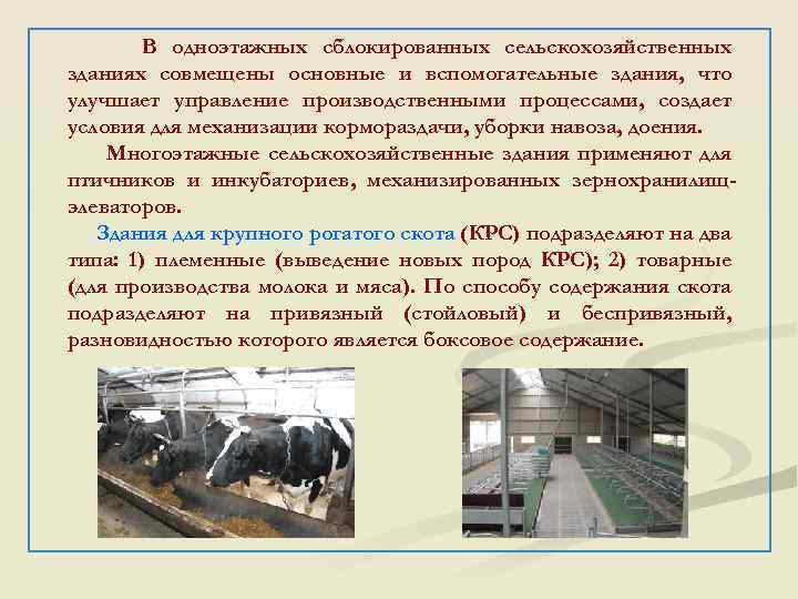 В одноэтажных сблокированных сельскохозяйственных зданиях совмещены основные и вспомогательные здания, что улучшает управление производственными