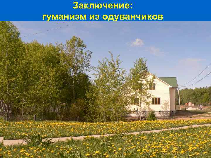 Заключение: гуманизм из одуванчиков 