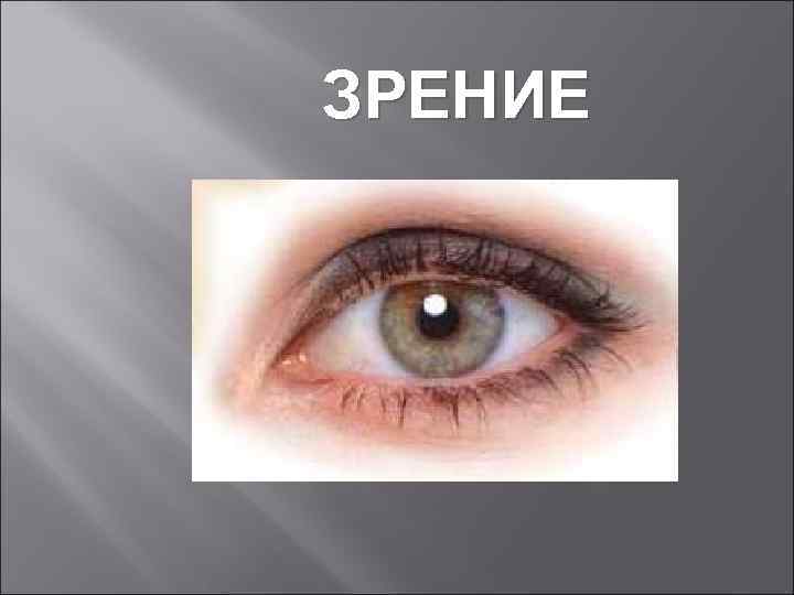 ЗРЕНИЕ 