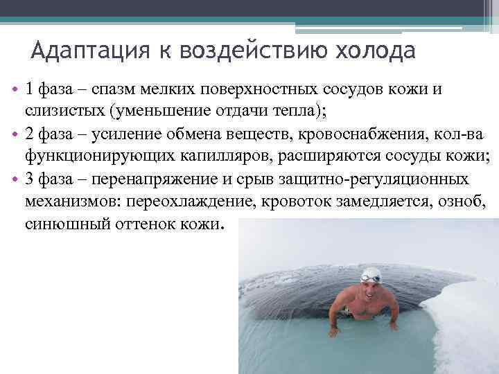 Адаптация к воздействию холода • 1 фаза – спазм мелких поверхностных сосудов кожи и