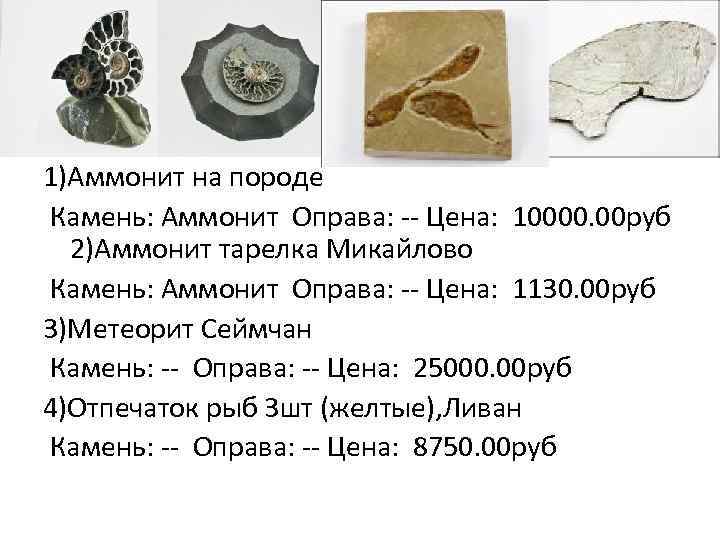 1)Аммонит на породе Камень: Аммонит Оправа: -- Цена: 10000. 00 руб 2)Аммонит тарелка Микайлово