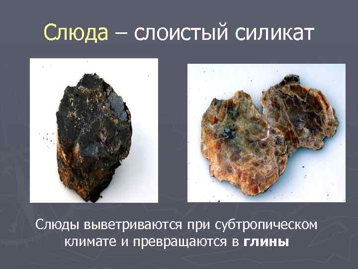 Слюда – слоистый силикат Слюды выветриваются при субтропическом климате и превращаются в глины 