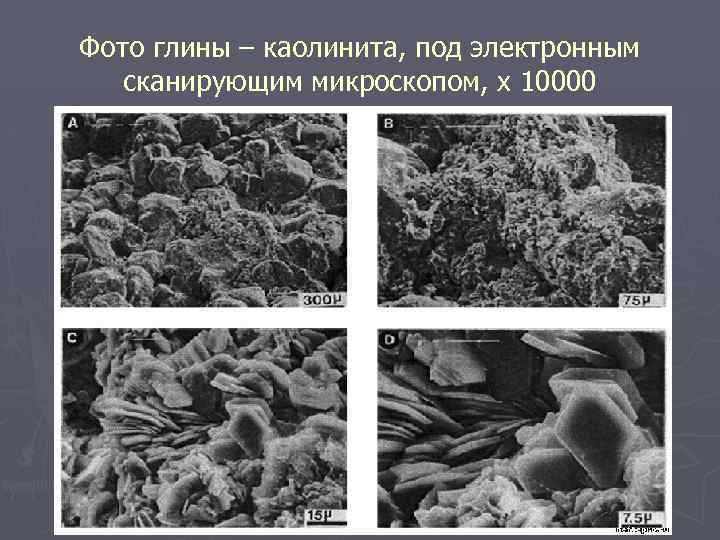 Фото глины – каолинита, под электронным сканирующим микроскопом, х 10000 