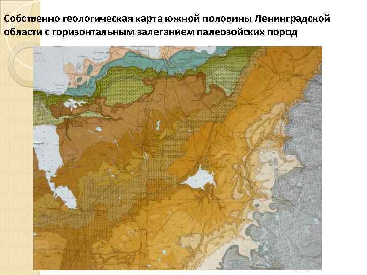 Собственно геологическая карта южной половины Ленинградской области с горизонтальным залеганием палеозойских пород 
