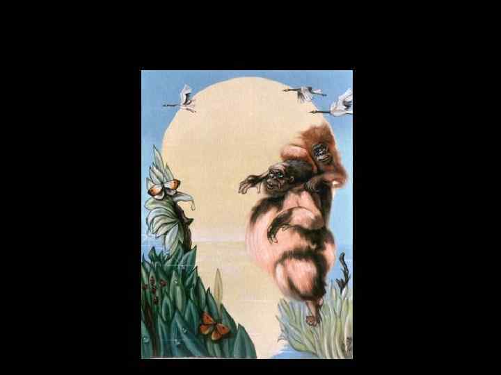 ПРОФИЛЬ ИЛИ ОБЕЗЬЯНА 