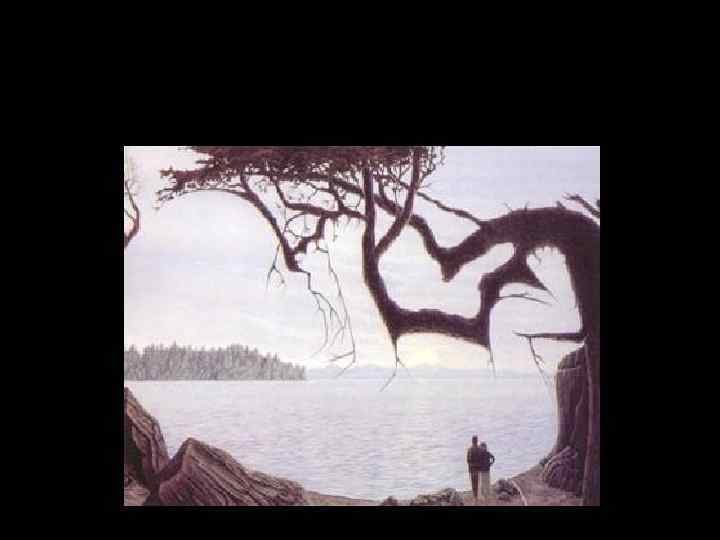 НАЙДИТЕ МЛАДЕНЦА… 