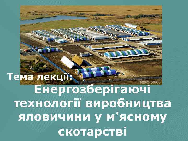 Тема лекції: Енергозберігаючі технології виробництва яловичини у м'ясному скотарстві 
