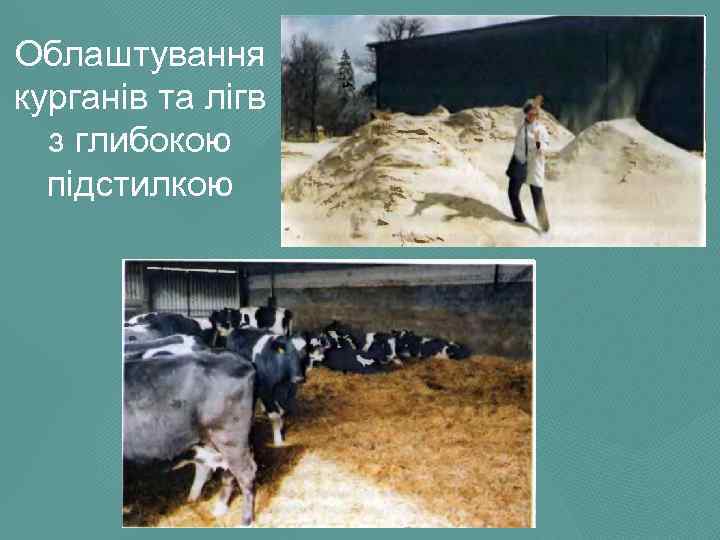 Облаштування курганів та лігв з глибокою підстилкою 