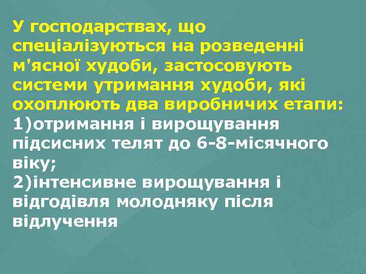 У господарствах, що спеціалізуються на розведенні м'ясної худоби, застосовують системи утримання худоби, які охоплюють