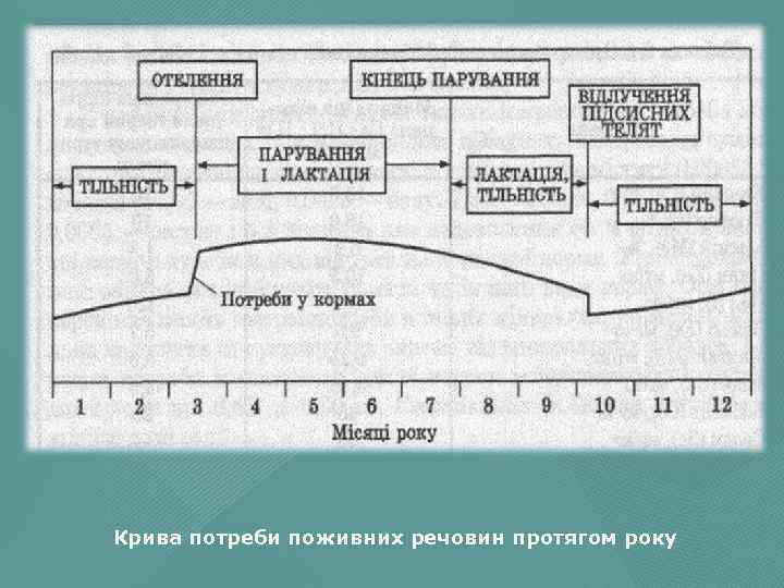 Крива потреби поживних речовин протягом року 