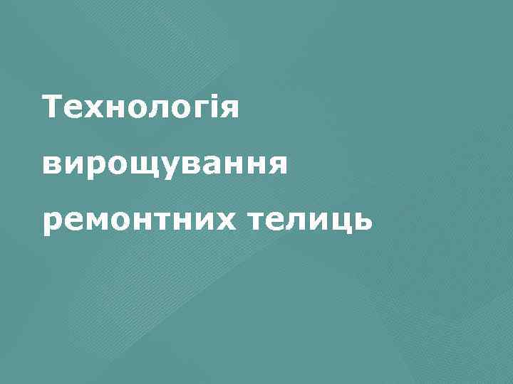 Технологія вирощування ремонтних телиць 