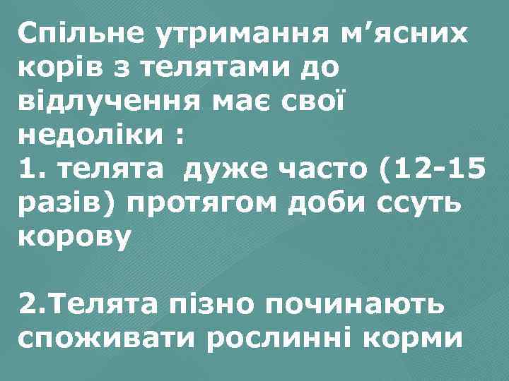Спільне утримання м’ясних корів з телятами до відлучення має свої недоліки : 1. телята