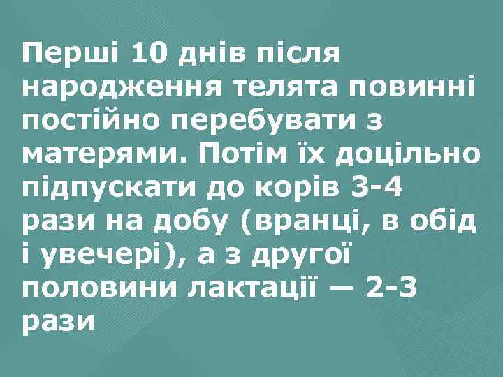 Перші 10 днів після народження телята повинні постійно перебувати з матерями. Потім їх доцільно