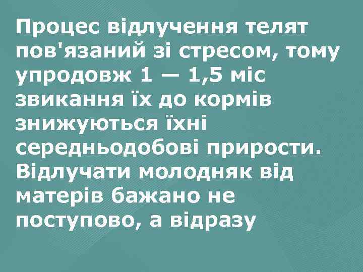 Процес відлучення телят пов'язаний зі стресом, тому упродовж 1 — 1, 5 міс звикання