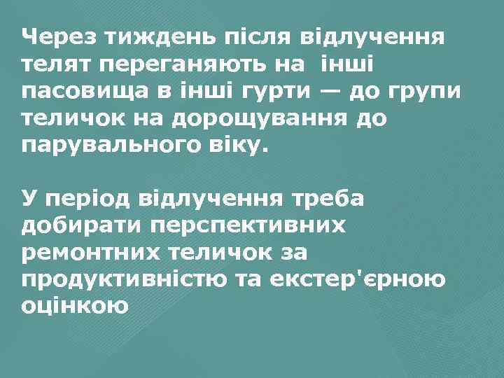 Через тиждень після відлучення телят переганяють на інші пасовища в інші гурти — до