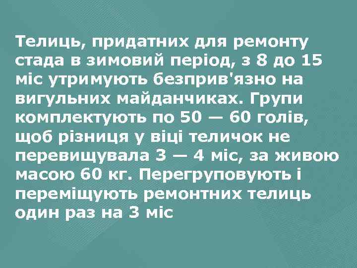 Телиць, придатних для ремонту стада в зимовий період, з 8 до 15 міс утримують