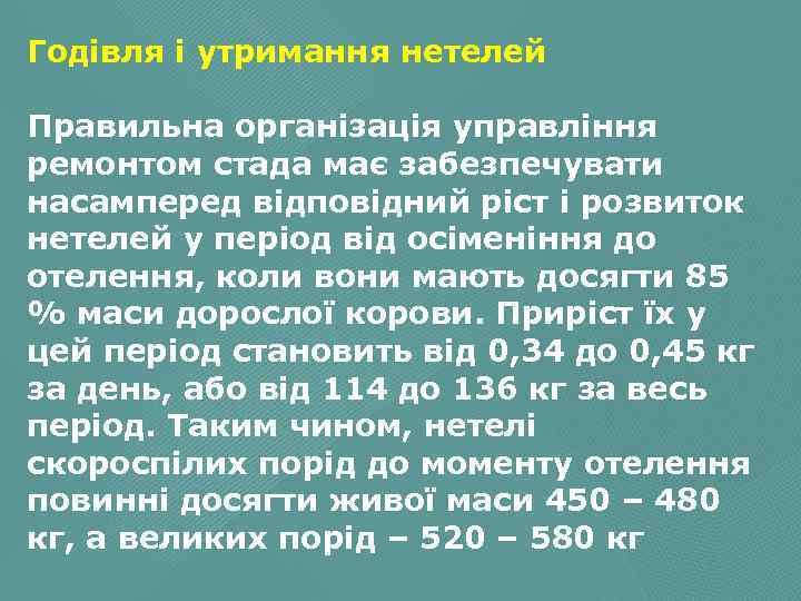 Годівля і утримання нетелей Правильна організація управління ремонтом стада має забезпечувати насамперед відповідний ріст