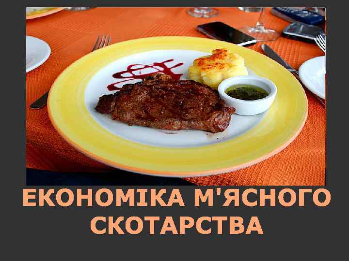 ЕКОНОМІКА М'ЯСНОГО СКОТАРСТВА 