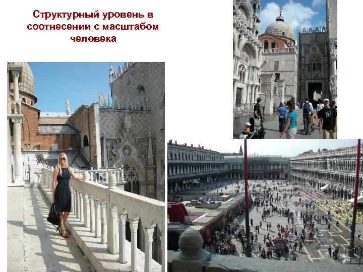 Структурный уровень в соотнесении с масштабом человека 