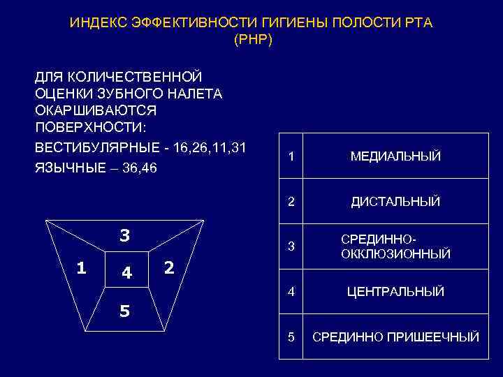 ИНДЕКС ЭФФЕКТИВНОСТИ ГИГИЕНЫ ПОЛОСТИ РТА (РНР) ДЛЯ КОЛИЧЕСТВЕННОЙ ОЦЕНКИ ЗУБНОГО НАЛЕТА ОКАРШИВАЮТСЯ ПОВЕРХНОСТИ: ВЕСТИБУЛЯРНЫЕ
