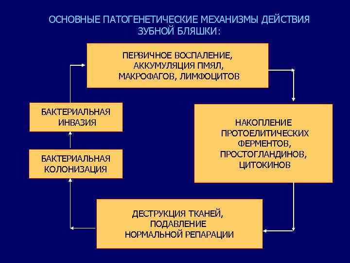 ОСНОВНЫЕ ПАТОГЕНЕТИЧЕСКИЕ МЕХАНИЗМЫ ДЕЙСТВИЯ ЗУБНОЙ БЛЯШКИ: ПЕРВИЧНОЕ ВОСПАЛЕНИЕ, АККУМУЛЯЦИЯ ПМЯЛ, МАКРОФАГОВ, ЛИМФОЦИТОВ БАКТЕРИАЛЬНАЯ ИНВАЗИЯ