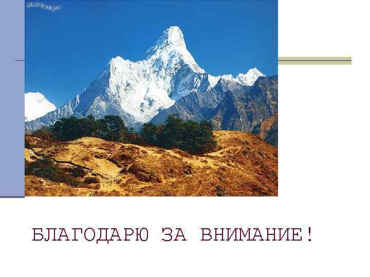 БЛАГОДАРЮ ЗА ВНИМАНИЕ! 