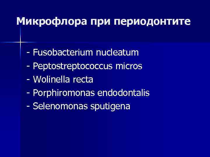 Микрофлора при периодонтите - Fusobacterium nucleatum - Peptostreptococcus micros - Wolinella recta - Porphiromonas