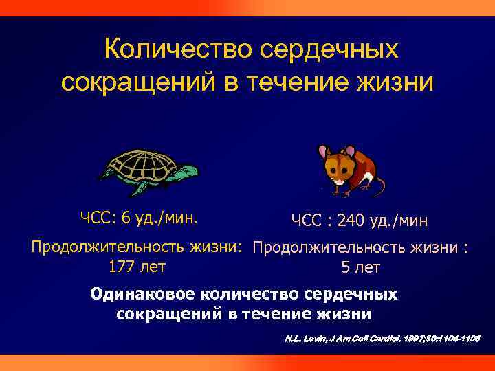 Количество сердечных сокращений в течение жизни ЧСС: 6 уд. /мин. ЧСС : 240 уд.