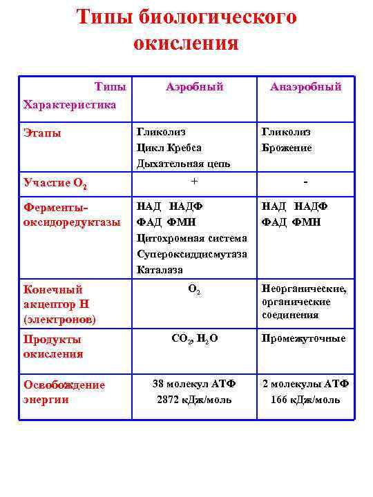 Типы биологического окисления Типы Характеристика Этапы Участие О 2 Ферментыоксидоредуктазы Конечный акцептор Н (электронов)