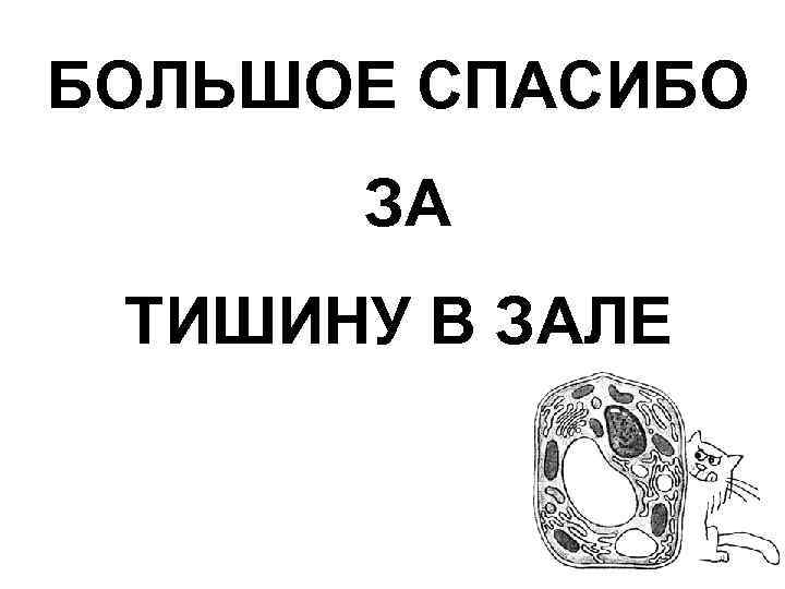 БОЛЬШОЕ СПАСИБО ЗА ТИШИНУ В ЗАЛЕ 