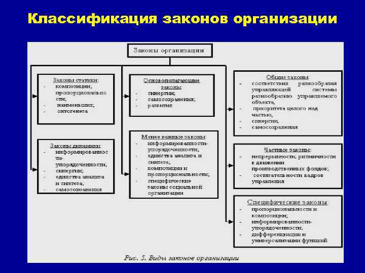 Организация в законодательстве. Законы организации: понятие, классификация, взаимосвязь. Классификация законов организации. Взаимосвязь законов организации. Законы организации предприятия.