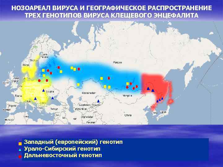 Энцефалит карта распространения