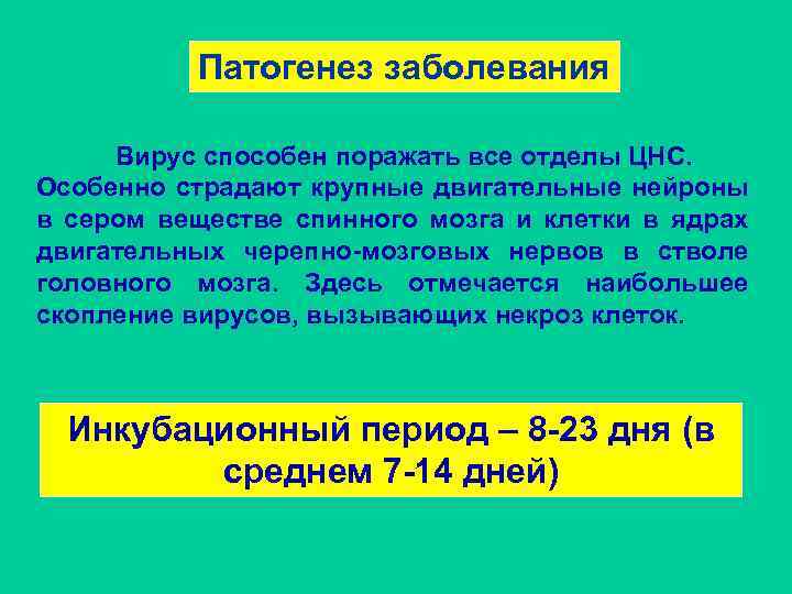 Патогенез заболевания Вирус способен поражать все отделы ЦНС. Особенно страдают крупные двигательные нейроны в