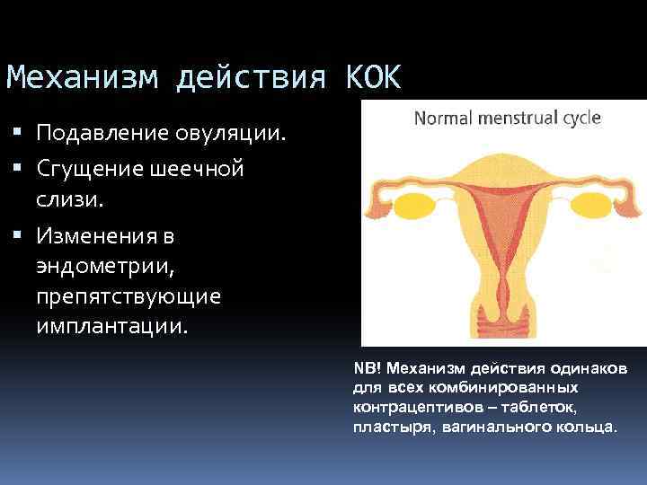 Механизм действия КОК Подавление овуляции. Сгущение шеечной слизи. Изменения в эндометрии, препятствующие имплантации. NB!