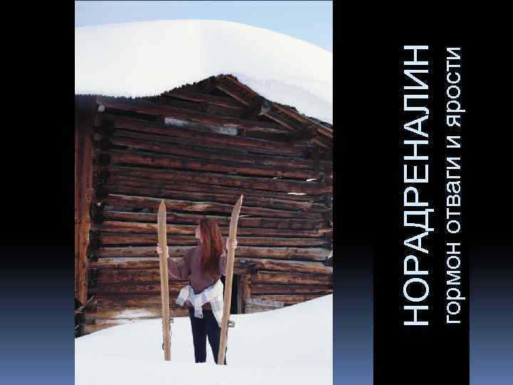 гормон отваги и ярости НОРАДРЕНАЛИН 