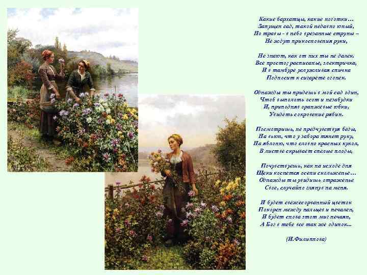 Какие бархатцы, какие ноготки… Запущен сад, такой недавно юный, Но травы - в небо