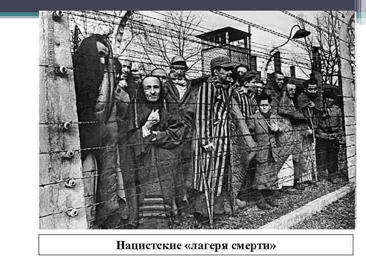 Нацистские «лагеря смерти» 