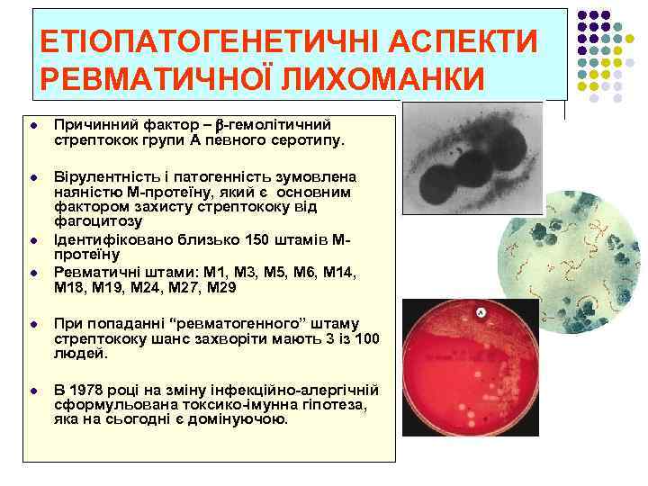 ЕТІОПАТОГЕНЕТИЧНІ АСПЕКТИ РЕВМАТИЧНОЇ ЛИХОМАНКИ l Причинний фактор – β-гемолітичний стрептокок групи А певного серотипу.