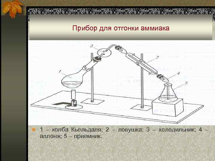 Прибор для отгонки аммиака n 1 – колба Кьельдаля; 2 – ловушка; 3 –