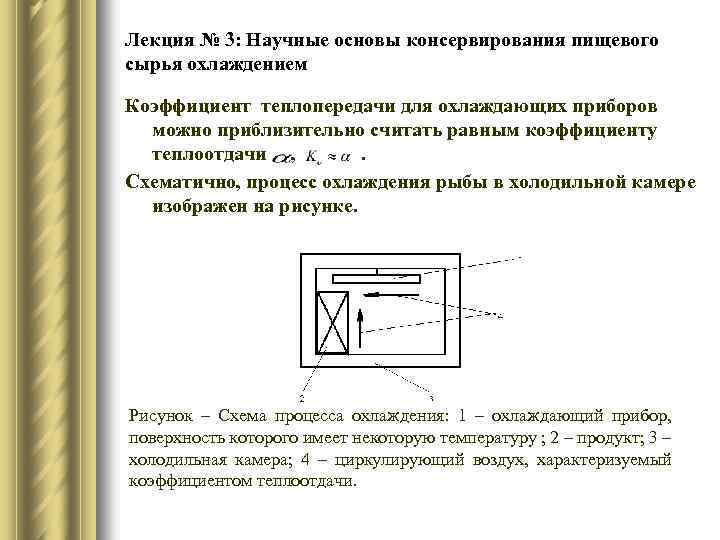 Лекция № 3: Научные основы консервирования пищевого сырья охлаждением Коэффициент теплопередачи для охлаждающих приборов
