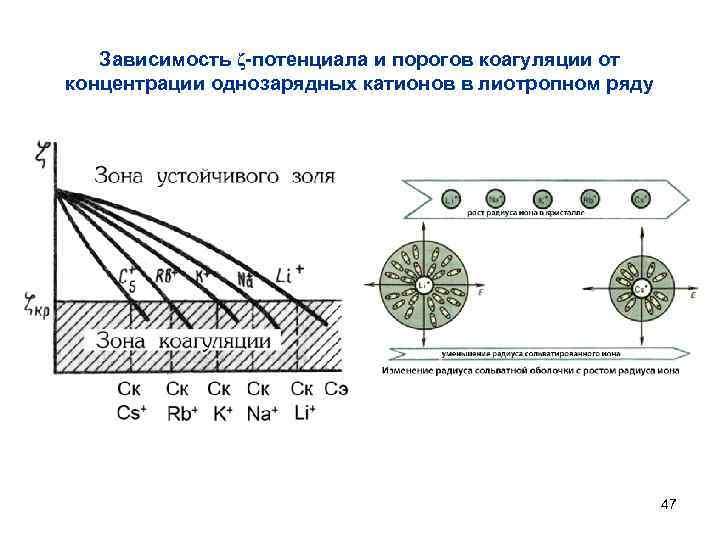 Зависимость ζ-потенциала и порогов коагуляции от концентрации однозарядных катионов в лиотропном ряду 47 