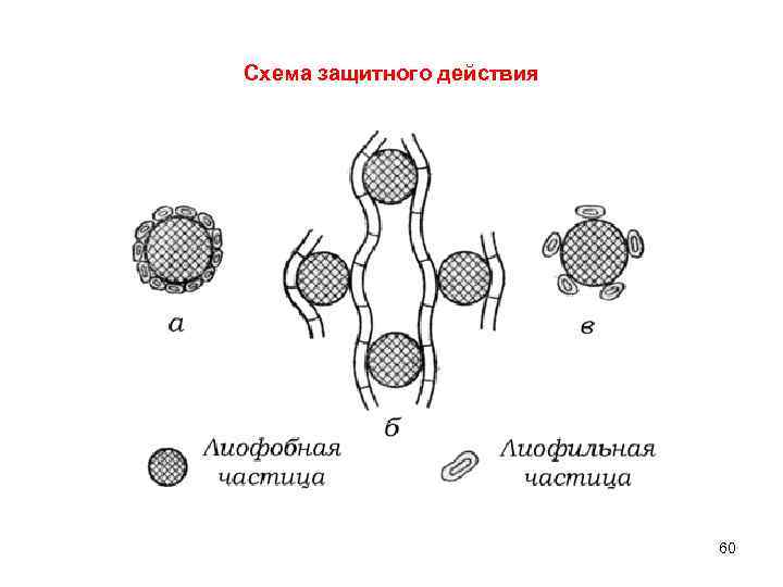 Схема защитного действия 60 
