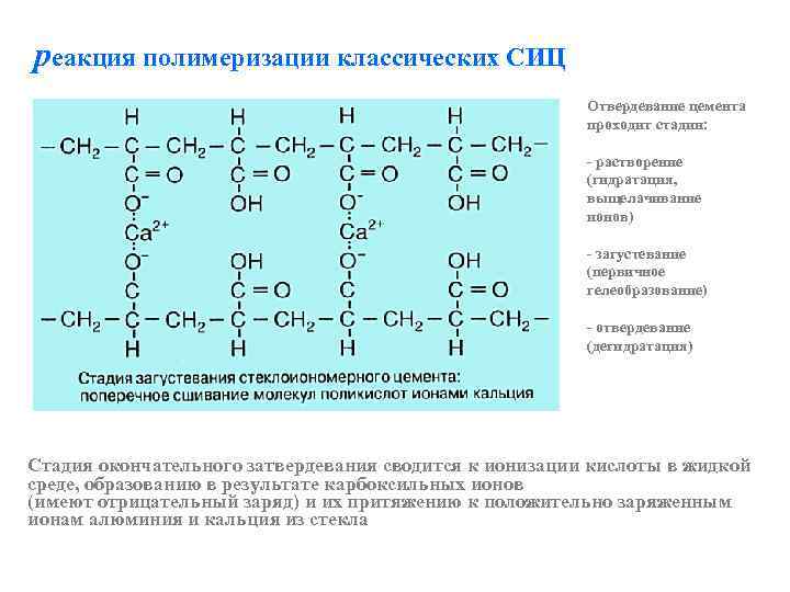 реакция полимеризации классических СИЦ Отвердевание цемента проходит стадии: - растворение (гидратация, выщелачивание ионов) -