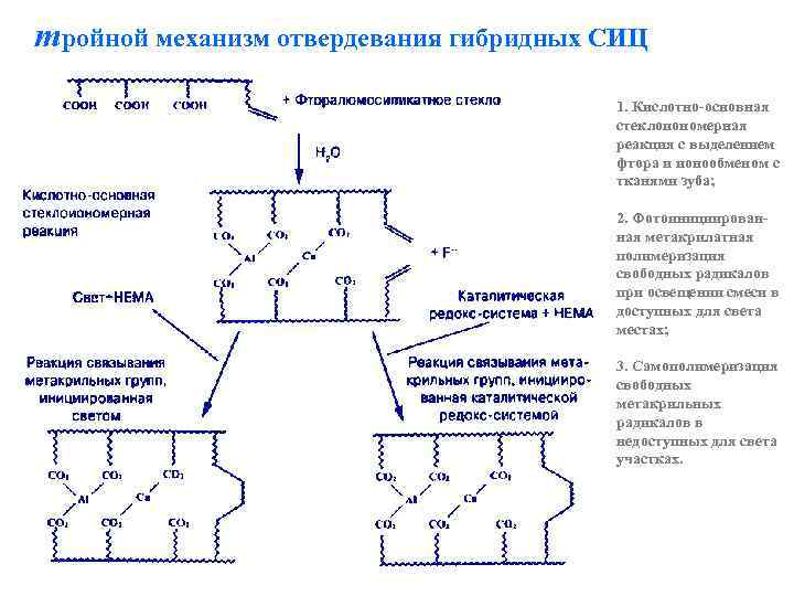 тройной механизм отвердевания гибридных СИЦ 1. Кислотно-основная стеклоиономерная реакция с выделением фтора и ионообменом