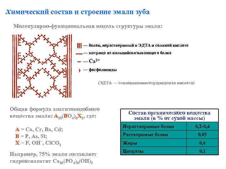 химический состав и строение эмали зуба Молекулярно-функциональная модель структуры эмали: — белок, нерастворимый в