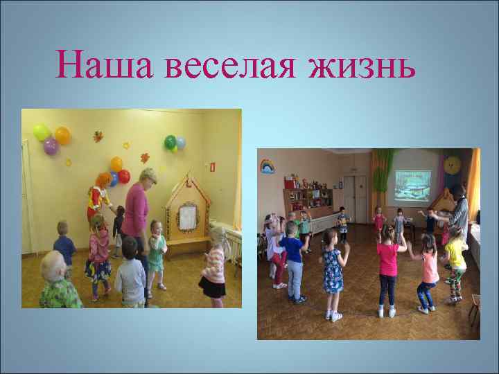 Наша веселая жизнь 