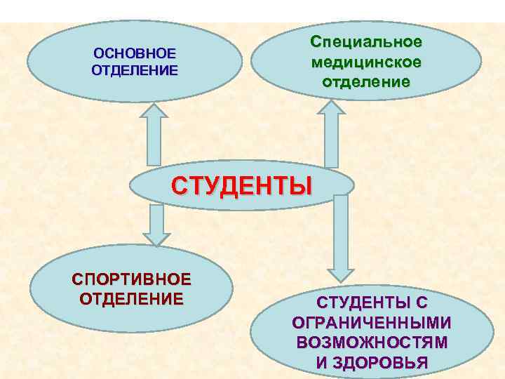 ОСНОВНОЕ ОТДЕЛЕНИЕ Специальное медицинское отделение СТУДЕНТЫ СПОРТИВНОЕ ОТДЕЛЕНИЕ СТУДЕНТЫ С ОГРАНИЧЕННЫМИ ВОЗМОЖНОСТЯМ И ЗДОРОВЬЯ
